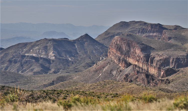 sotol vista